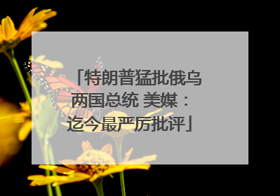 特朗普猛批俄乌两国总统 美媒：迄今最严厉批评