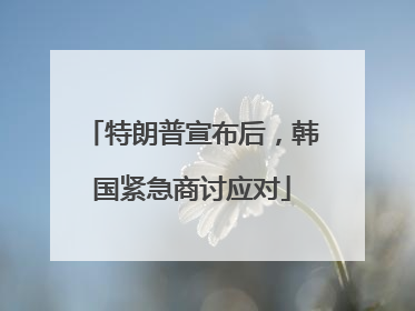 特朗普宣布后，韩国紧急商讨应对
