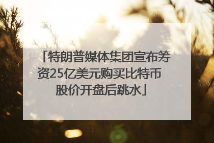 特朗普媒体集团宣布筹资25亿美元购买比特币 股价开盘后跳水