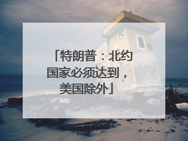 特朗普：北约国家必须达到，美国除外