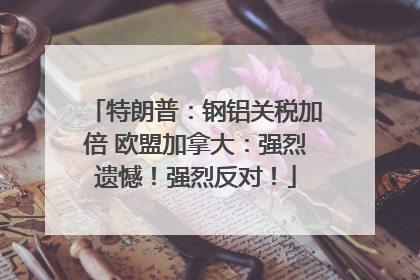 特朗普：钢铝关税加倍 欧盟加拿大：强烈遗憾！强烈反对！