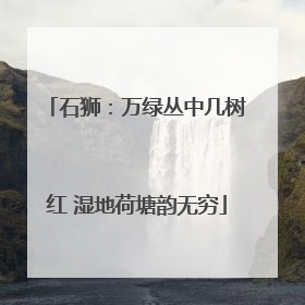 石狮：万绿丛中几树红 湿地荷塘韵无穷