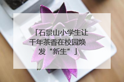 石景山小学生让千年茶香在校园焕发“新生”