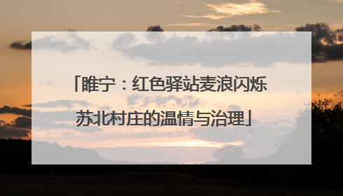 睢宁：红色驿站麦浪闪烁 苏北村庄的温情与治理