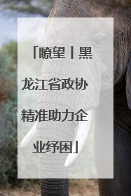 瞭望丨黑龙江省政协精准助力企业纾困