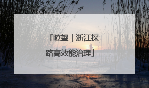 瞭望｜浙江探路高效能治理