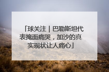 球关注｜巴勒斯坦代表掩面痛哭，加沙的真实现状让人痛心