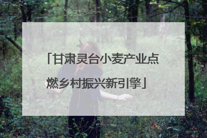 甘肃灵台小麦产业点燃乡村振兴新引擎