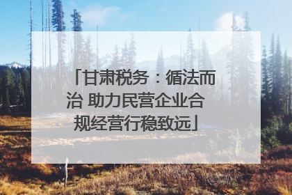 甘肃税务：循法而治 助力民营企业合规经营行稳致远