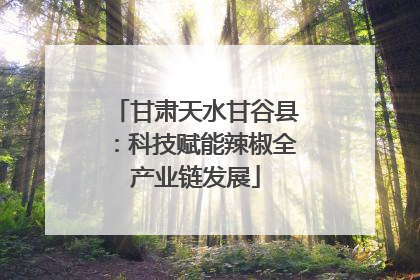 甘肃天水甘谷县：科技赋能辣椒全产业链发展