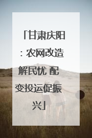 甘肃庆阳：农网改造解民忧 配变投运促振兴