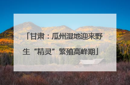 甘肃：瓜州湿地迎来野生“精灵”繁殖高峰期