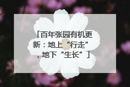 百年张园有机更新：地上“行走”，地下“生长”