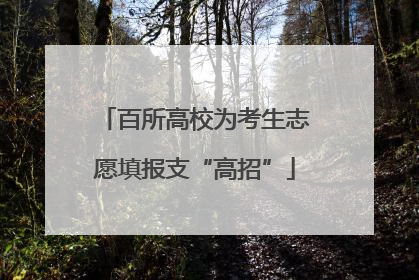 百所高校为考生志愿填报支“高招”