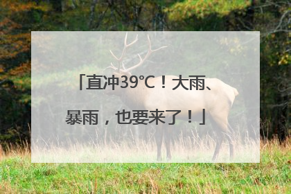 直冲39℃！大雨、暴雨，也要来了！