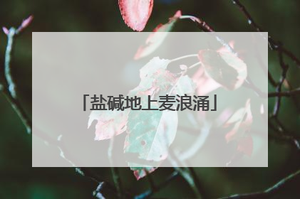盐碱地上麦浪涌