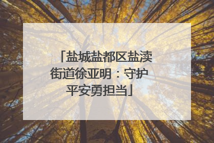 盐城盐都区盐渎街道徐亚明：守护平安勇担当