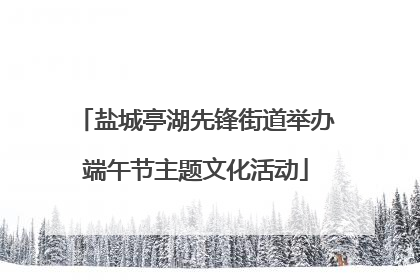 盐城亭湖先锋街道举办端午节主题文化活动