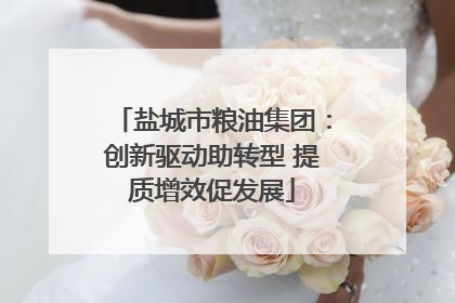 盐城市粮油集团：创新驱动助转型 提质增效促发展