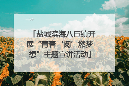 盐城滨海八巨镇开展“青春‘阅’燃梦想”主题宣讲活动