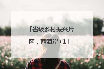 省级乡村振兴片区，西海岸+1