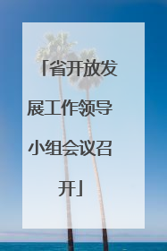 省开放发展工作领导小组会议召开