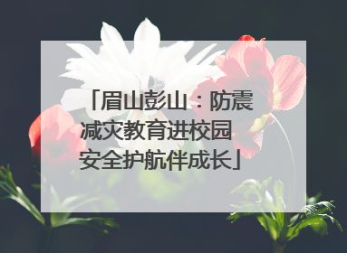 眉山彭山：防震减灾教育进校园 安全护航伴成长