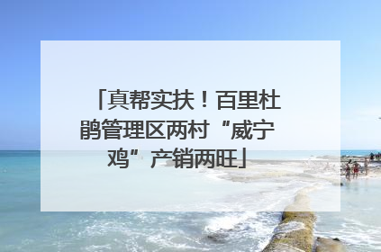 真帮实扶！百里杜鹃管理区两村“威宁鸡”产销两旺