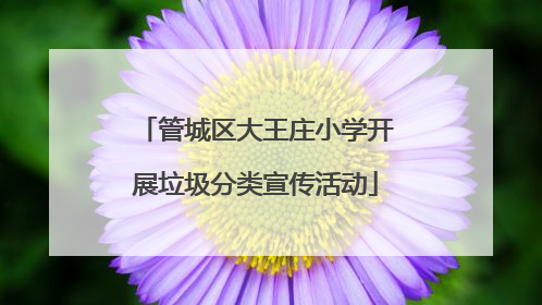 管城区大王庄小学开展垃圾分类宣传活动