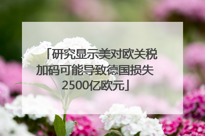 研究显示美对欧关税加码可能导致德国损失2500亿欧元