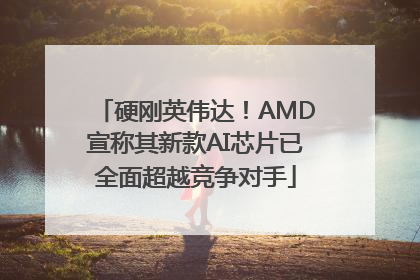硬刚英伟达！AMD宣称其新款AI芯片已全面超越竞争对手
