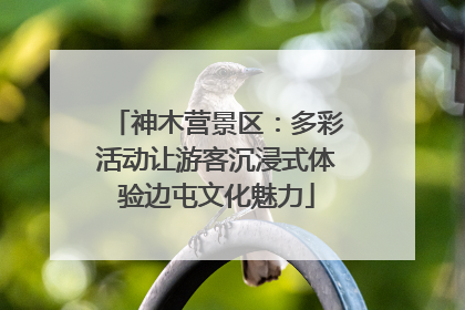 神木营景区：多彩活动让游客沉浸式体验边屯文化魅力