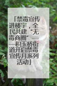 禁毒宣传进楼宇，全民共建“无毒商圈”——积玉桥街道开启禁毒宣传月系列活动