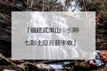 福建武夷山：引种七彩土豆喜获丰收