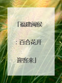 福建闽侯：百合花开迎客来