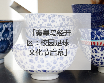 秦皇岛经开区：校园足球文化节启幕