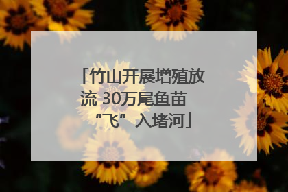 竹山开展增殖放流 30万尾鱼苗“飞”入堵河