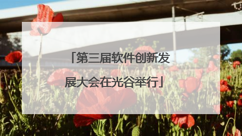 第三届软件创新发展大会在光谷举行