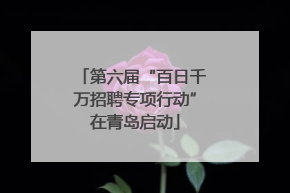 第六届“百日千万招聘专项行动”在青岛启动