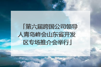 第六届跨国公司领导人青岛峰会山东省开发区专场推介会举行