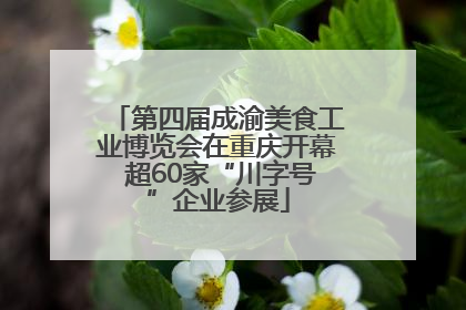 第四届成渝美食工业博览会在重庆开幕 超60家“川字号”企业参展