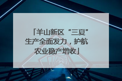 羊山新区“三夏”生产全面发力，护航农业稳产增收