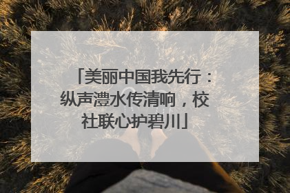美丽中国我先行：纵声澧水传清响，校社联心护碧川