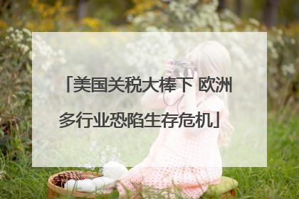 美国关税大棒下 欧洲多行业恐陷生存危机