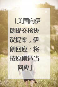 美国向伊朗提交核协议提案，伊朗回应：将按原则适当回应