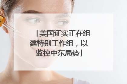 美国证实正在组建特别工作组，以监控中东局势