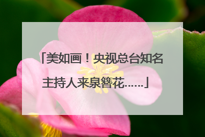 美如画！央视总台知名主持人来泉簪花……