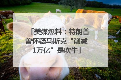 美媒爆料：特朗普曾怀疑马斯克“削减1万亿”是吹牛