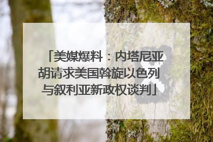 美媒爆料：内塔尼亚胡请求美国斡旋以色列与叙利亚新政权谈判