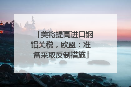 美将提高进口钢铝关税，欧盟：准备采取反制措施